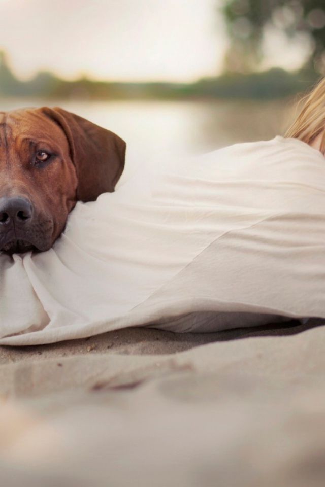 Собака положила голову на спину девушки