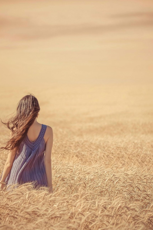 Девушка среди поля спелой пшеницы