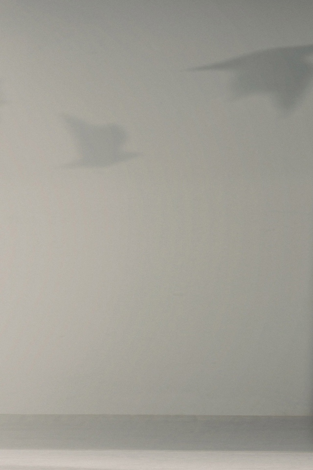 Девушка в коротком платье Хейден Панеттьер