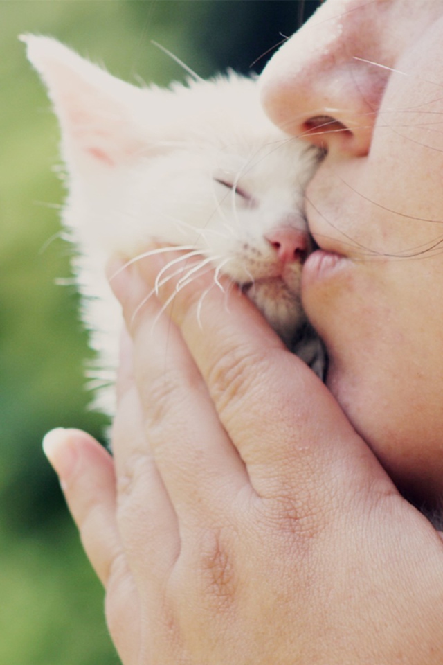 Девушка целует белого котенка