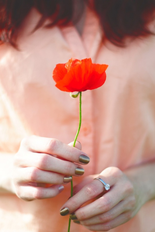 Poppy in the hands of the girl