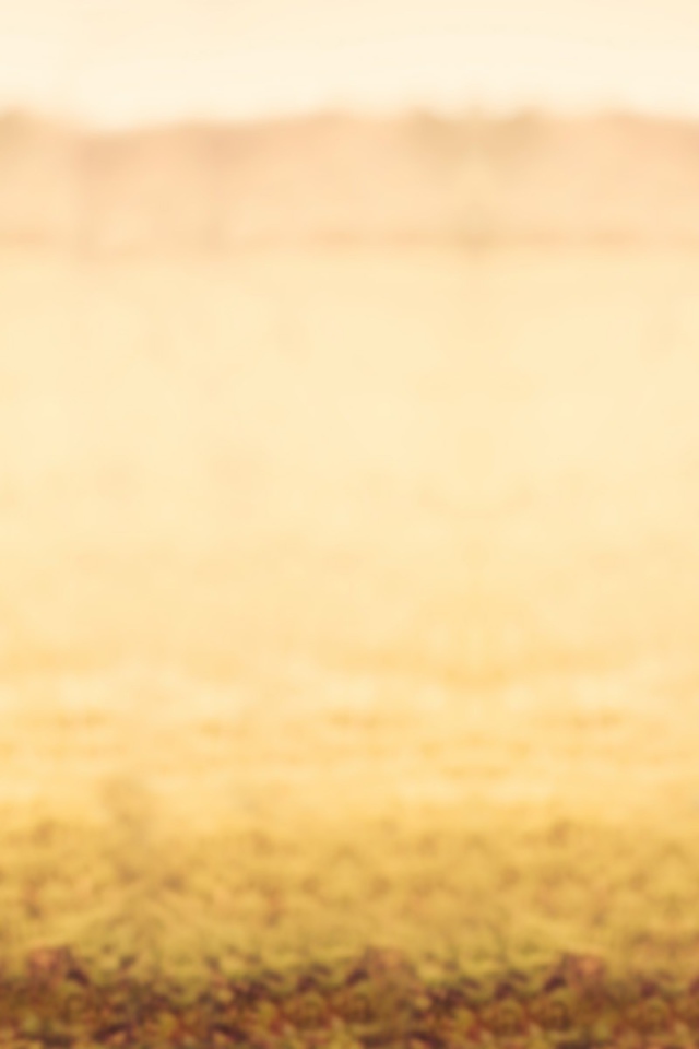 Рыжая девушка в джинсах и серой футболке