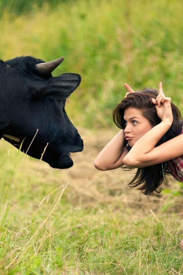 Девушка дразнит корову