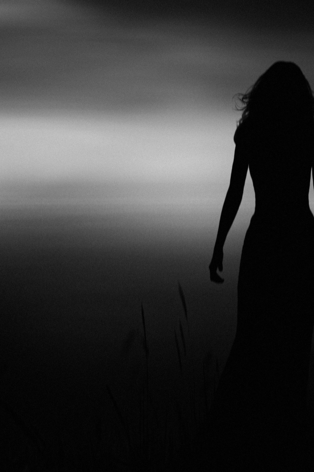 Силуэт девушки в прибрежном камыше