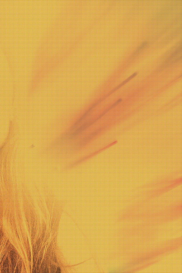 Силуэт девушки Лена Майер-Ландрут