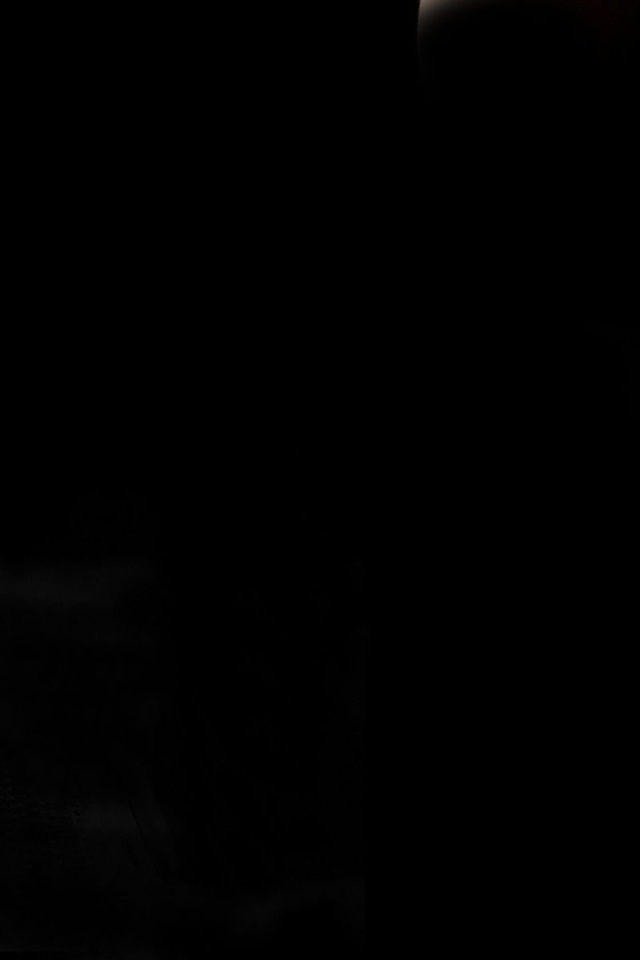 Девушка смотрит на котенка, черный фон