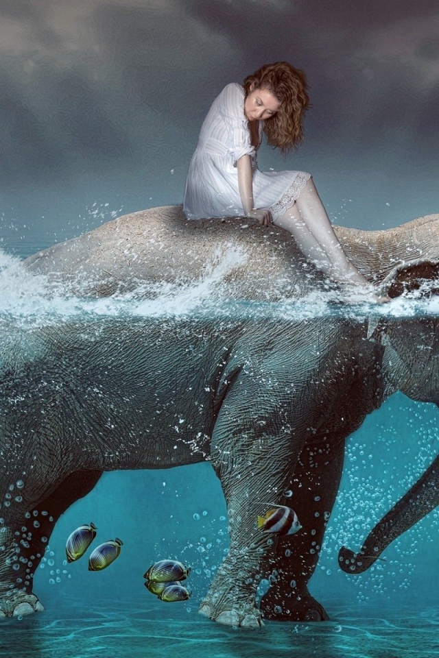 Девушка на спине слона