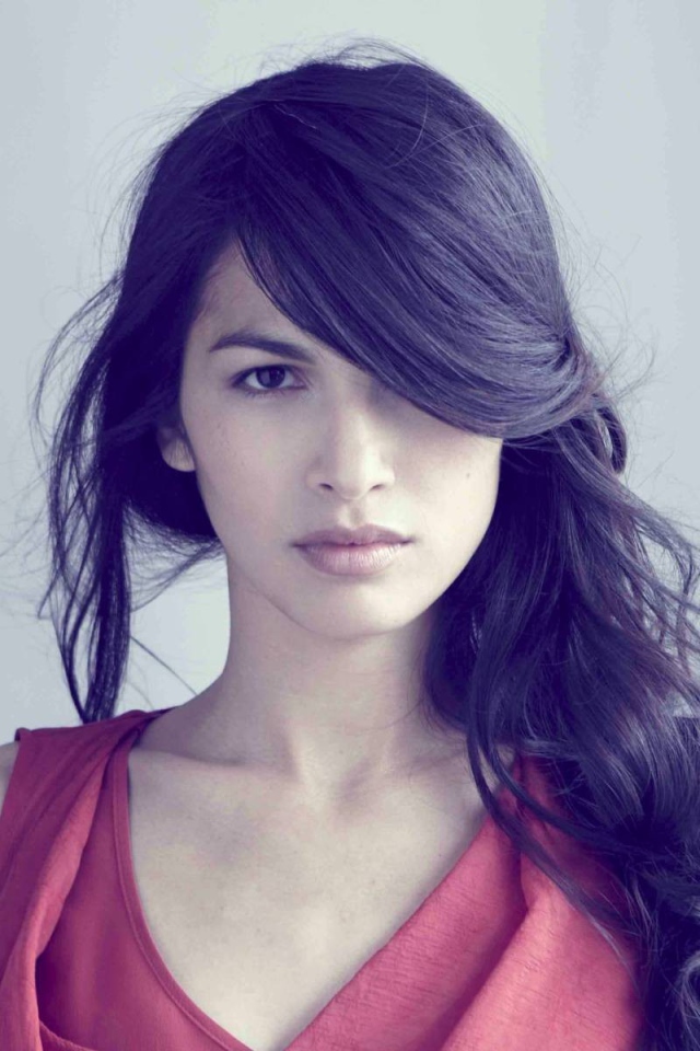 Модель Элоида Янг