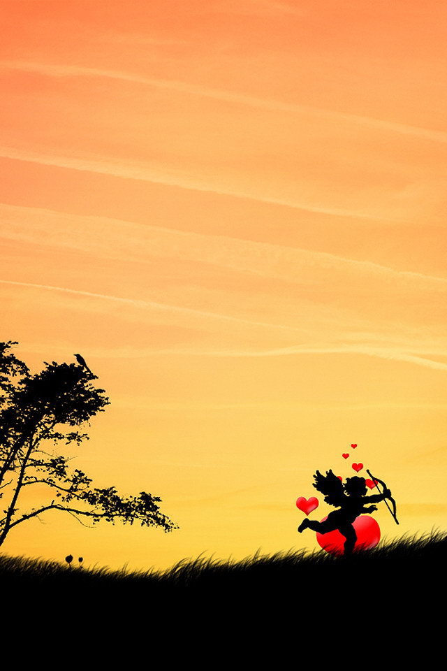 Амур и птицы