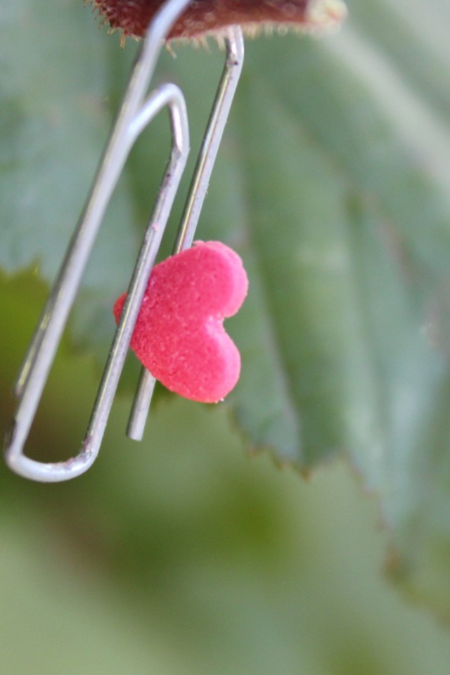 Скрепка с сердцем на зеленом листике