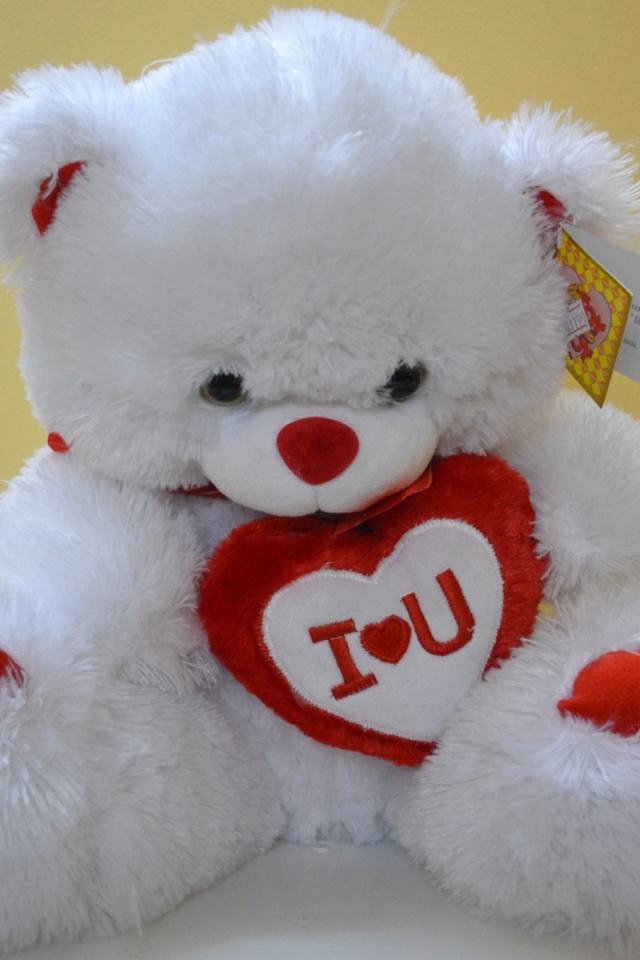 Белый медвежонок с признанием в любви