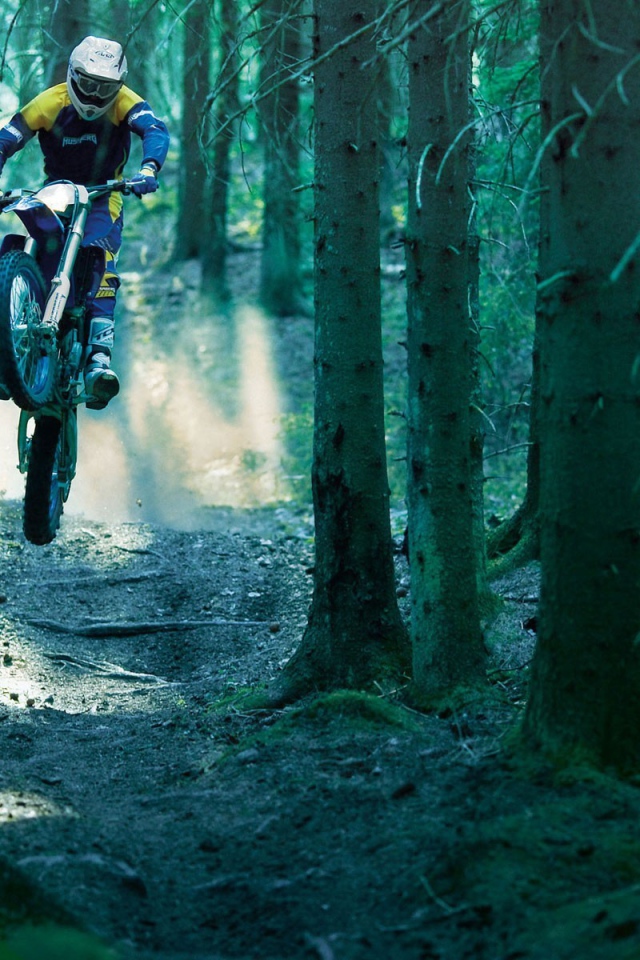 Rider on a motorbike in the woods