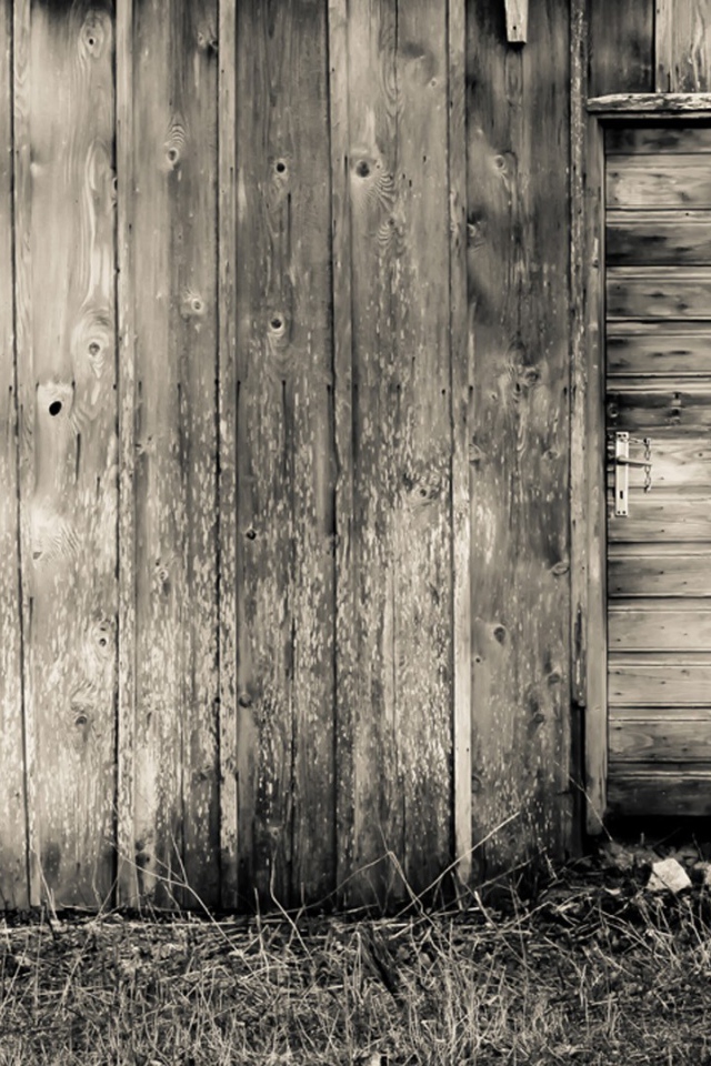 Девушка у деревянного сарая, фильм Звонок