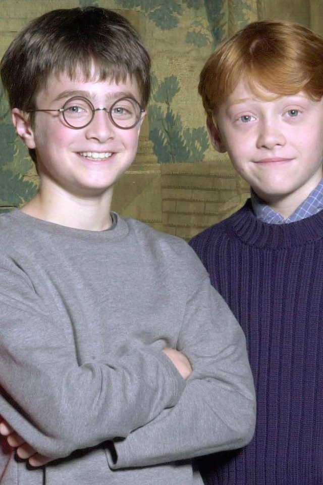 Гарри Поттер и его банда