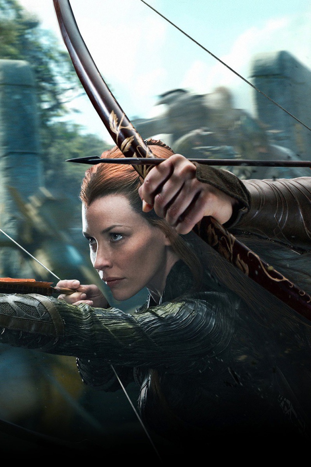 Постер фильма Хоббит Пустошь Смауга