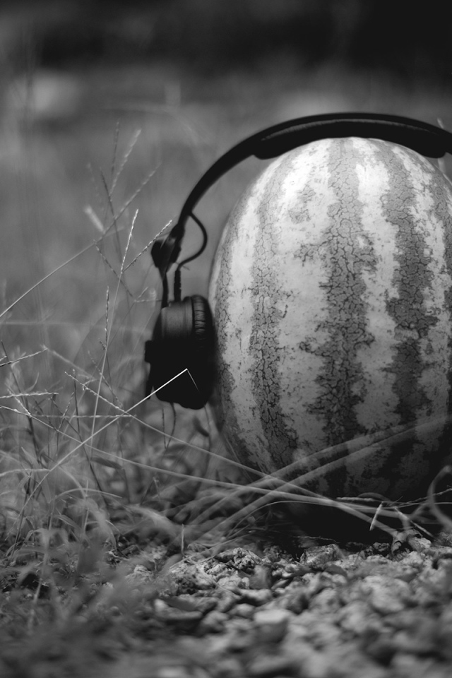 Наушники на арбузе, черно белое фото