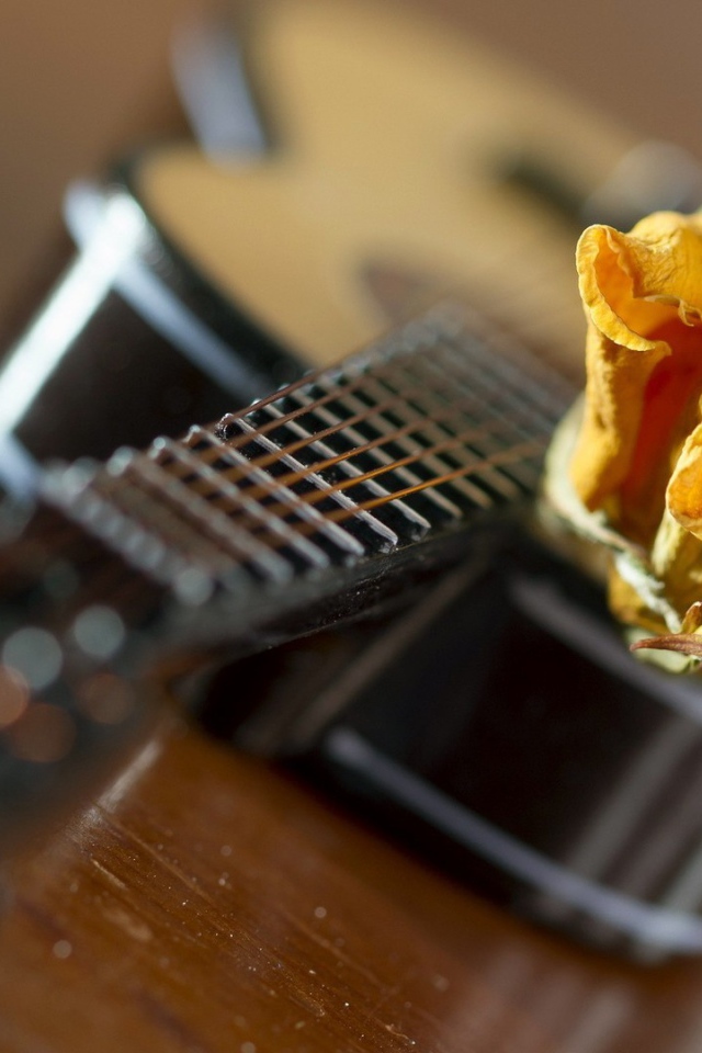 Желтая роза на гитаре