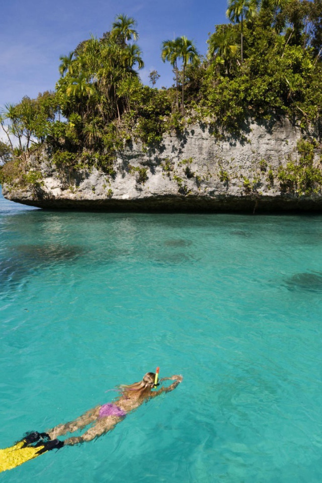 Дайвер плывет к скале