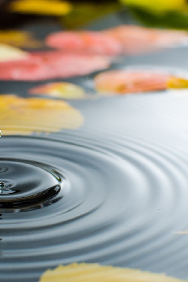 Капля воды в луже