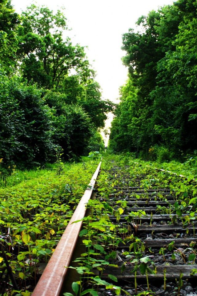 Заброшенный железнодорожный путь