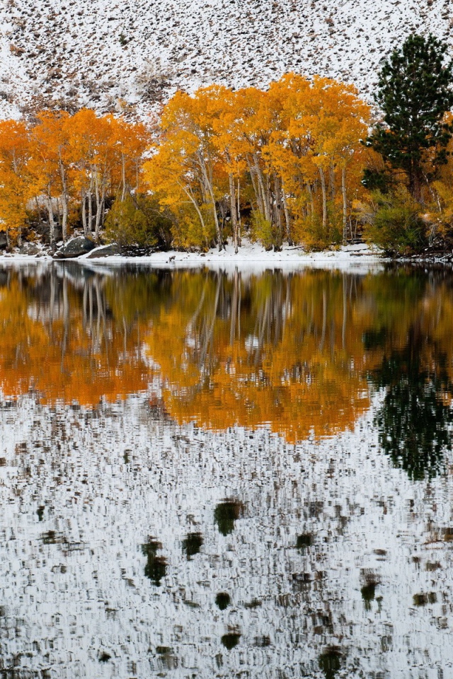 Осенние деревья на фоне первого снега отражаются в воде