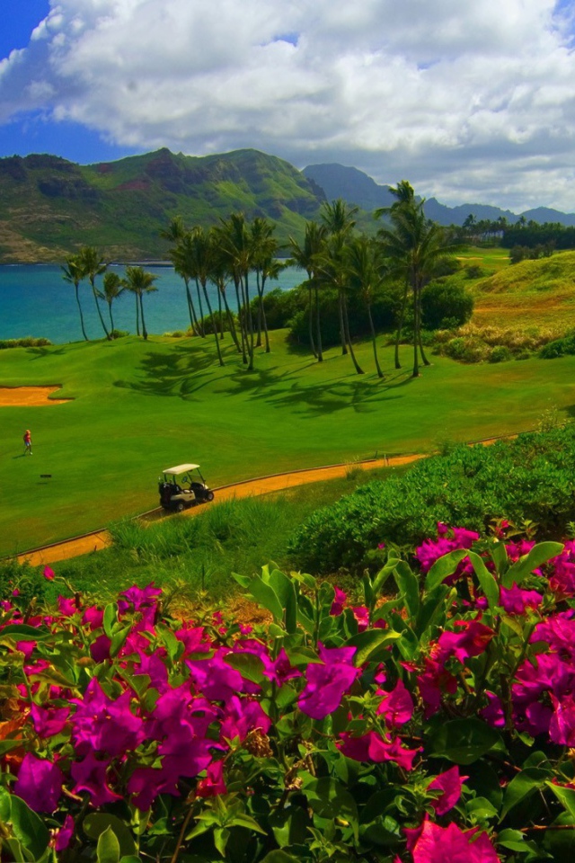 Красивый сад на песчаной почве