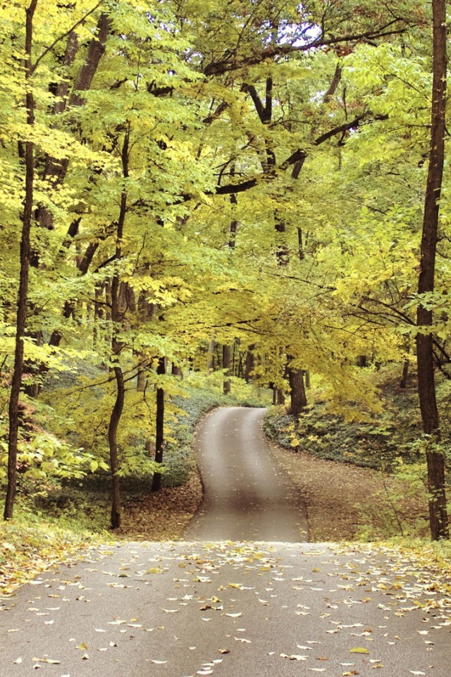 Велосипедная дорожка в осеннем парке