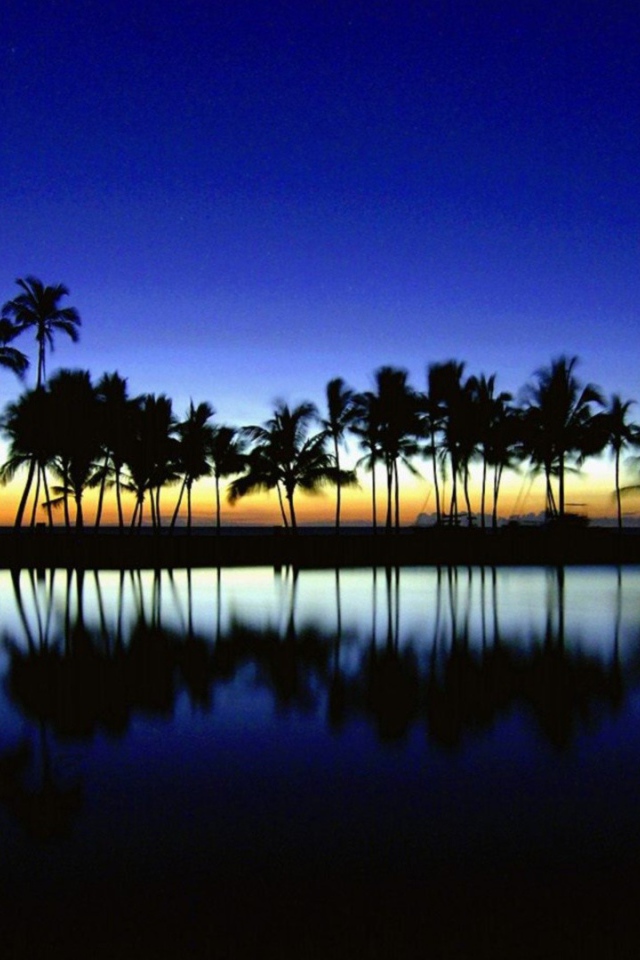 Темные силуэты пальм на фоне неба