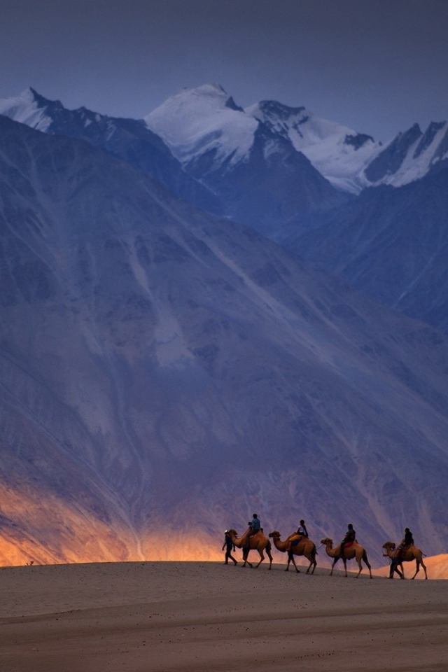 Караван верблюдов на фоне гор