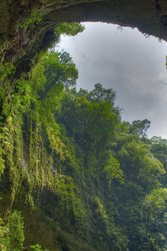 Пещера заросла зеленью изнутри