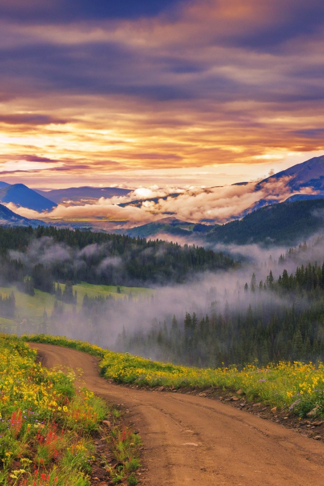 Облака опустились к вершинам деревьев