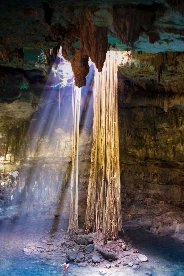 Лианы свисают с потолка пещеры