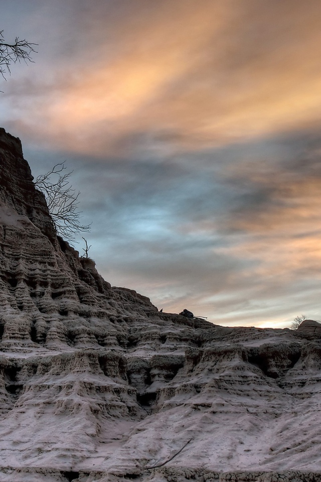 Засохшее дерево на вершине мертвой скалы