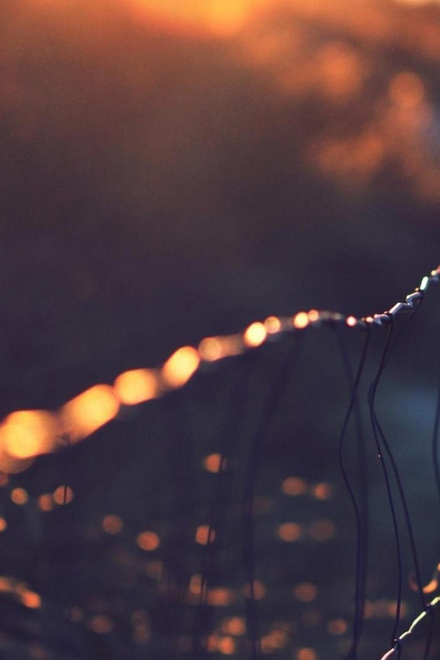 Капли росы на сетчатом заборе