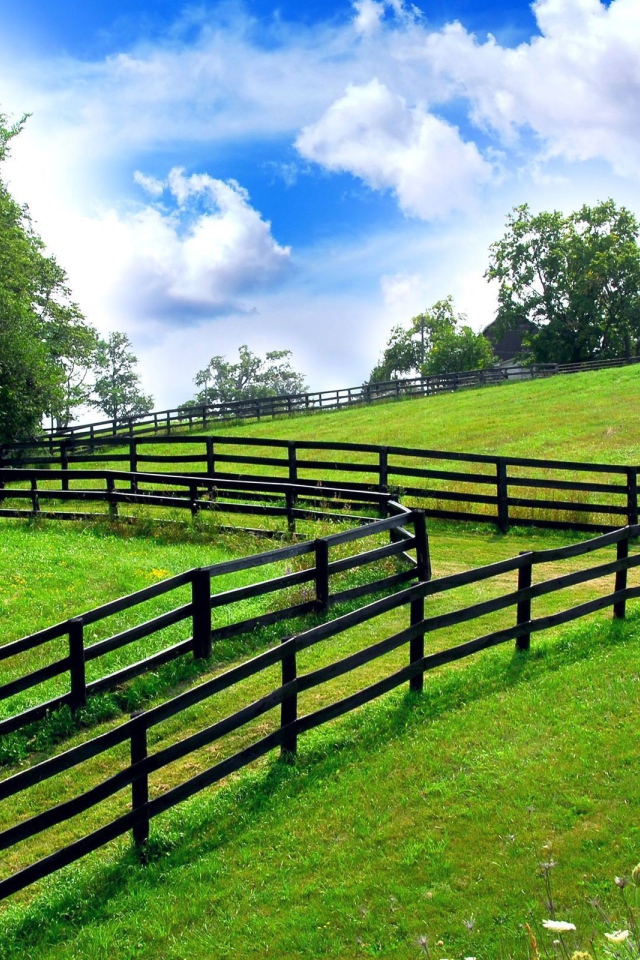 Заборы на границах участков