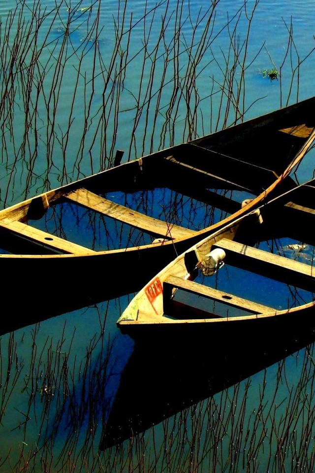 Затопленные лодки в зарослях