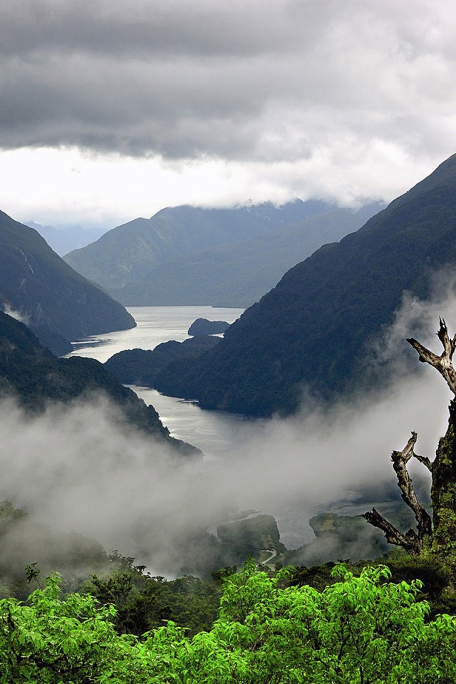 Туман стелется среди холмов
