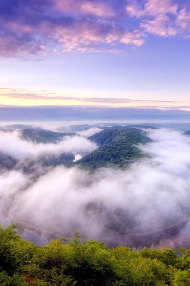 Туман над покрытыми густым лесом горами