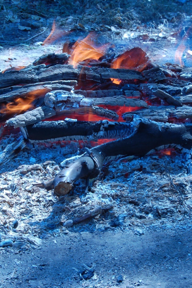 Сизые угли костра