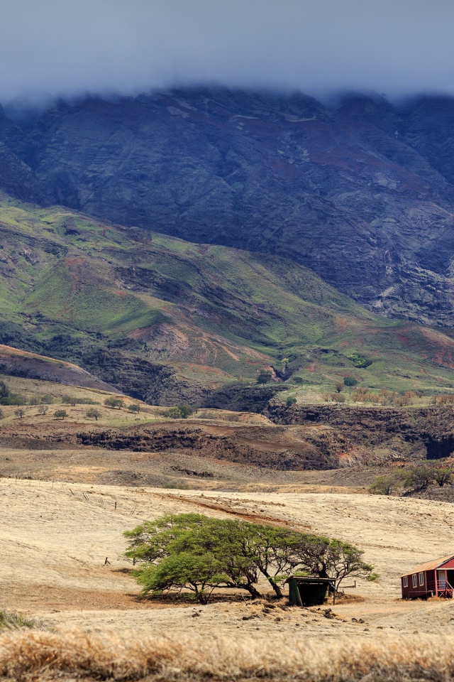 Домик у дерева в пустынной горной местности