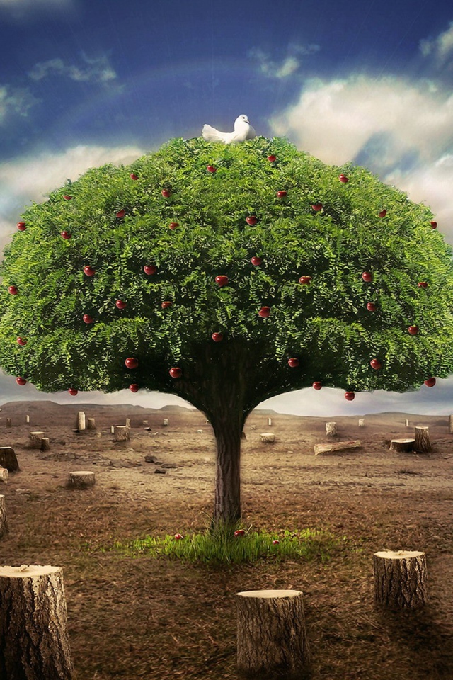 Живое дерево среди пеньков