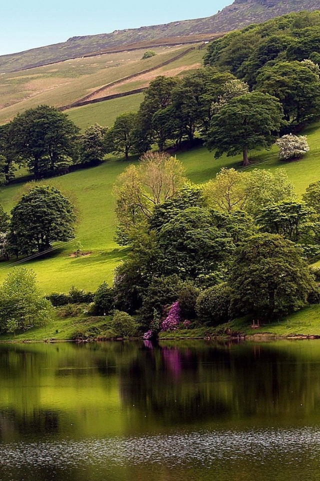 Усадьба на склоне горы