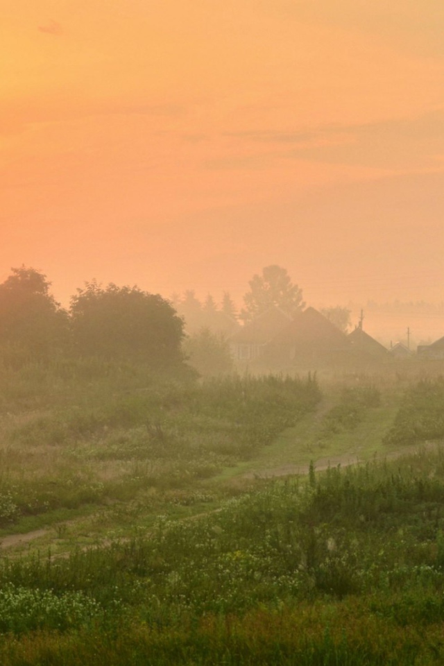 Туманный рассвет в деревне