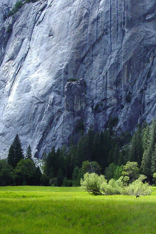 Монументальная серая скала над полем