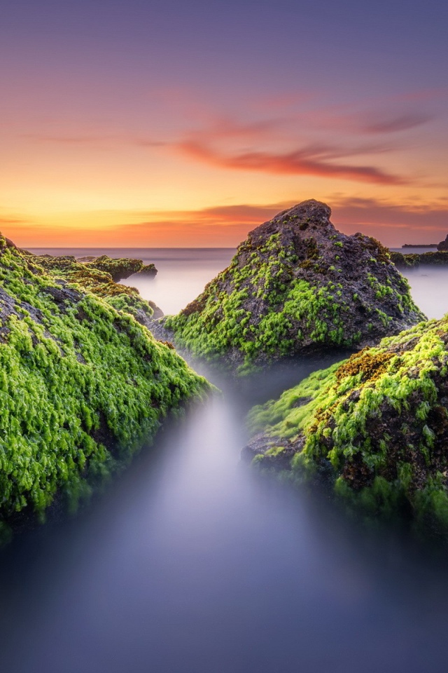 Поросшие мхом скалы в тумане