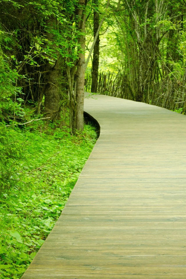 Паркетная тропинка в саду