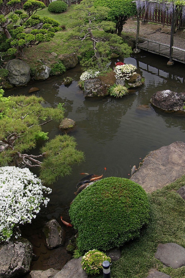 Пруд с растениями в саду