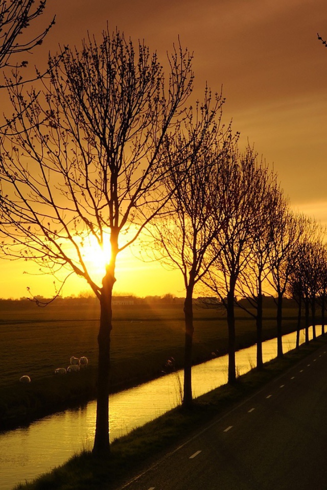 Дорога с каналами по краям