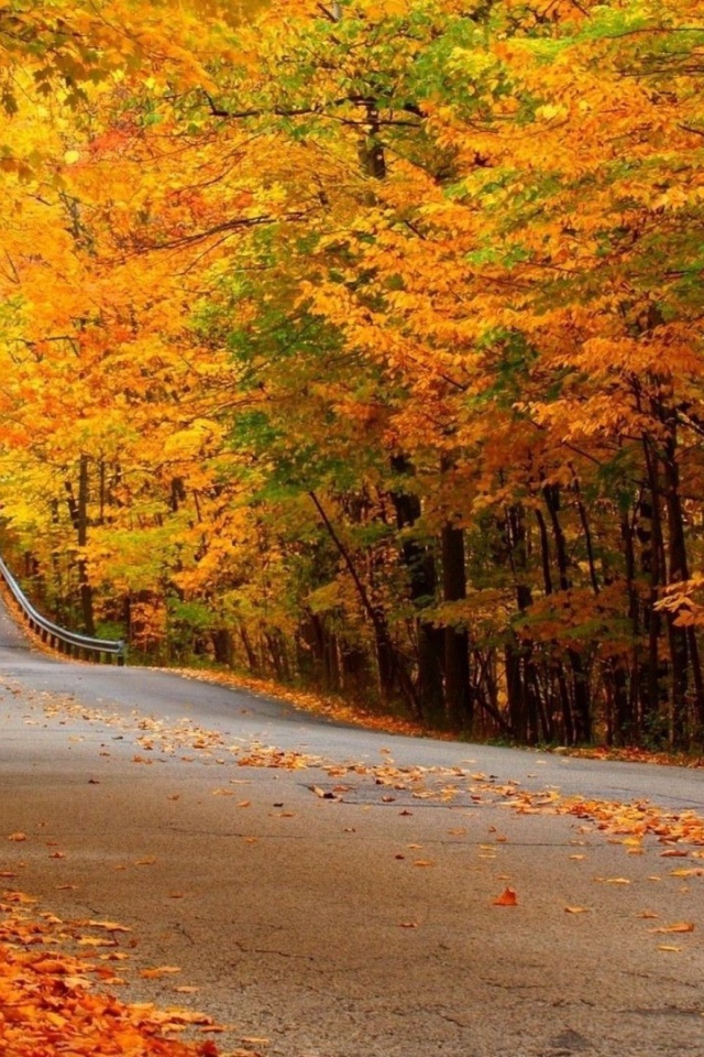 Автомобильная дорога в осеннем лесу