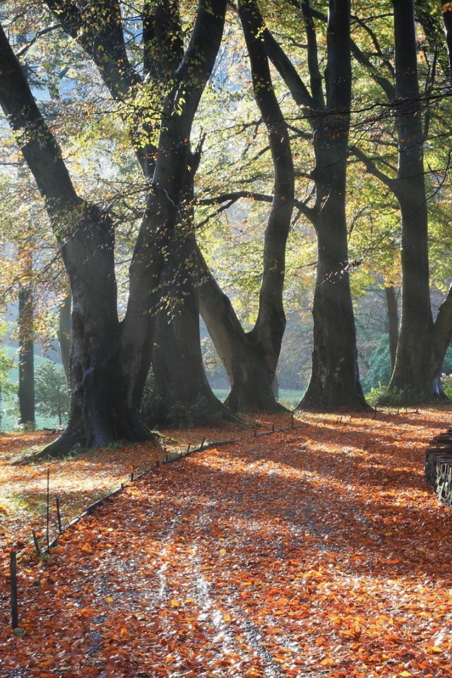 Поворот аллейки, усыпанной листьями